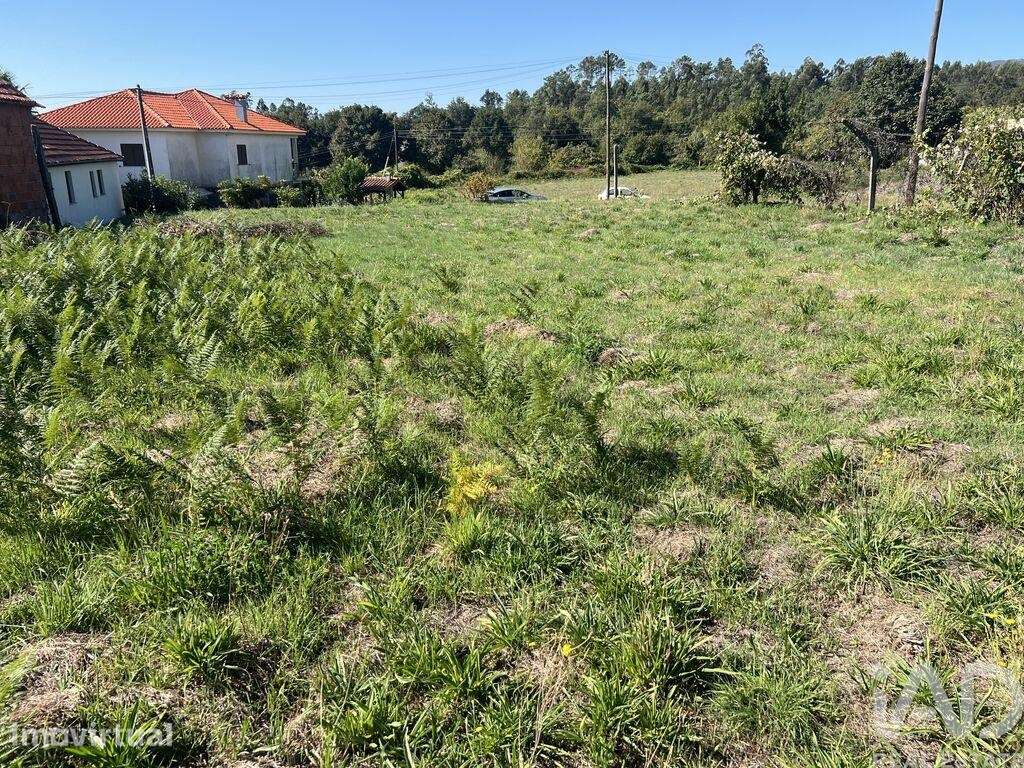 Terreno para construção em Santa Cruz da Trapa e São Cristóvão de Lafõ - Grande imagem: 4/6