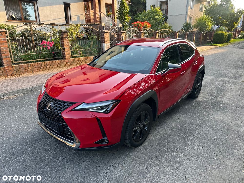 Lexus UX 250h Prestige 2WD - 5