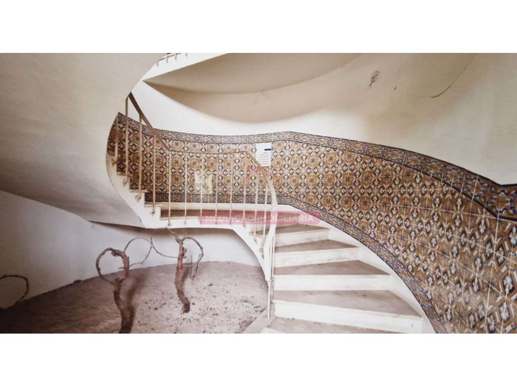 Armazém - Caves - Anadia - Grande imagem: 4/43