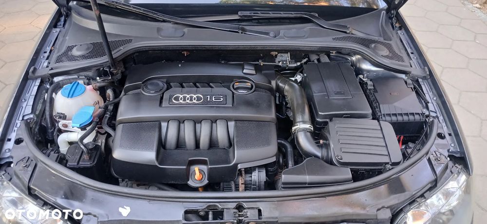 Audi A3 3-drzwiowe 1.6 Attraction - 27