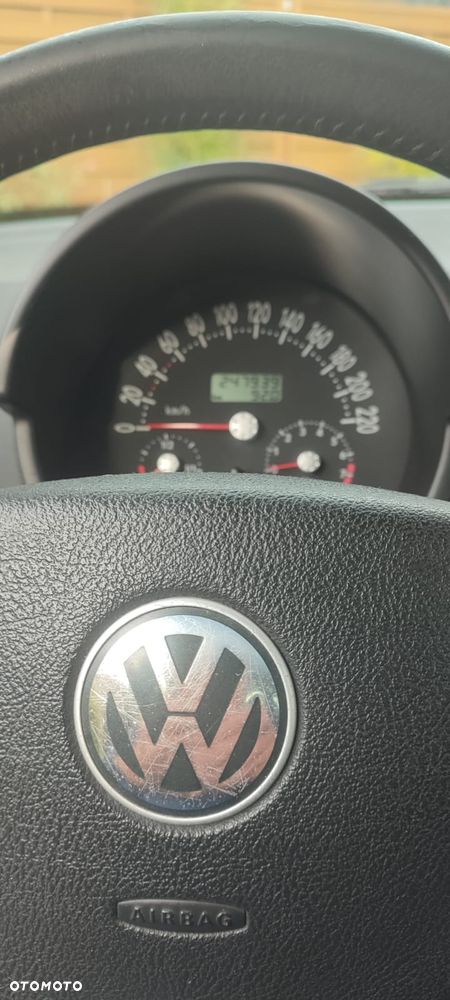 Volkswagen New Beetle - 7