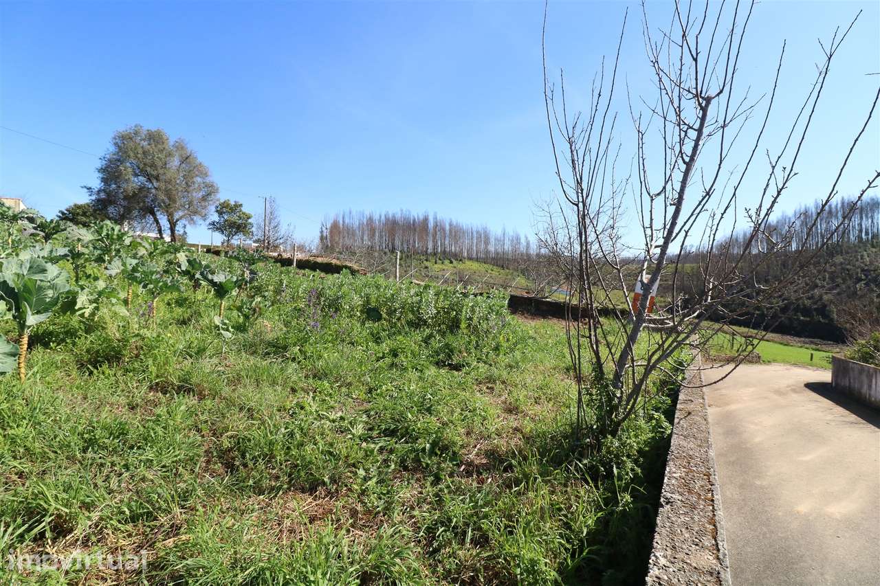 Terreno para Construção em Canelas, Estarreja - Grande imagem: 2/8