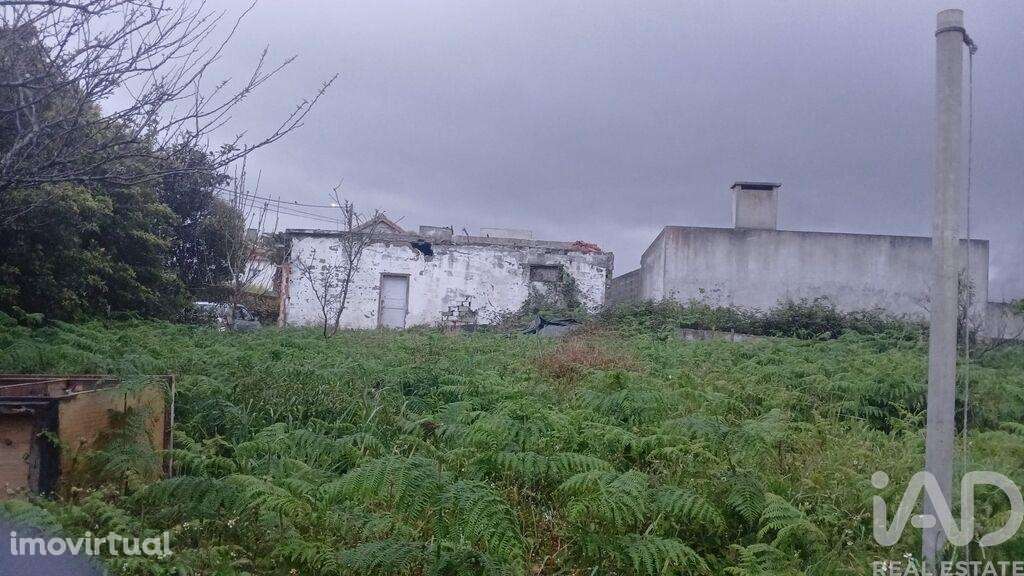 Casa / Villa T4 em Lajes de 99 m2 - Grande imagem: 2/3