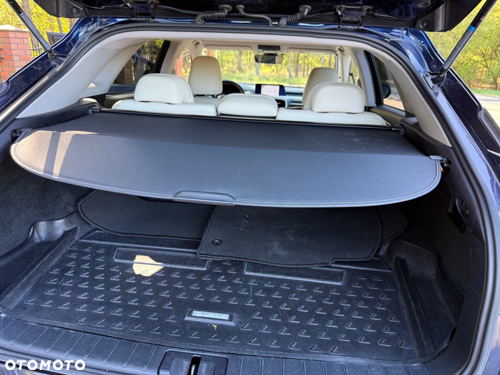 Lexus RX 200t / 300 Elegance - 21