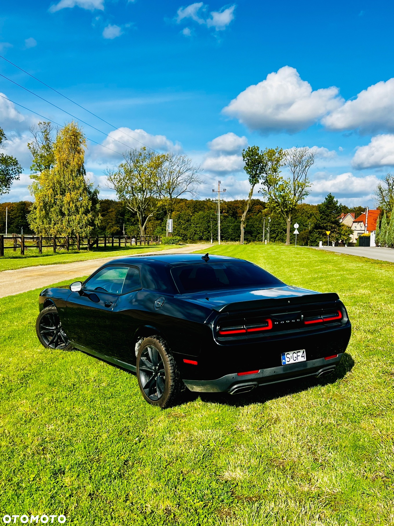 Dodge Challenger Automatik R/T Plus - 16