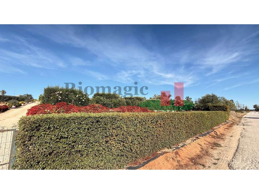 Terreno rústico***RIOMAGIC*** - Grande imagem: 4/60