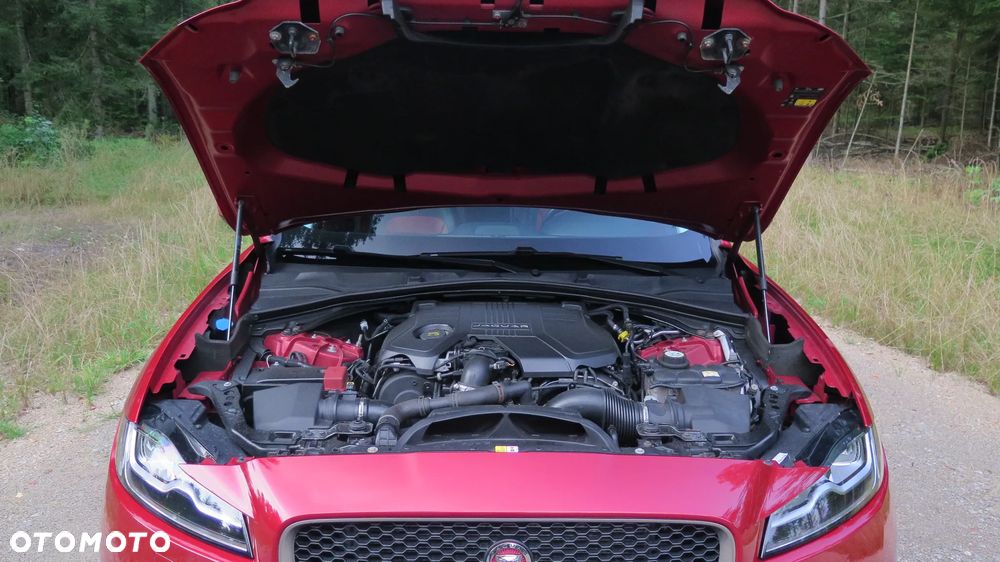 Jaguar F-Pace 30d AWD R-Sport - 23