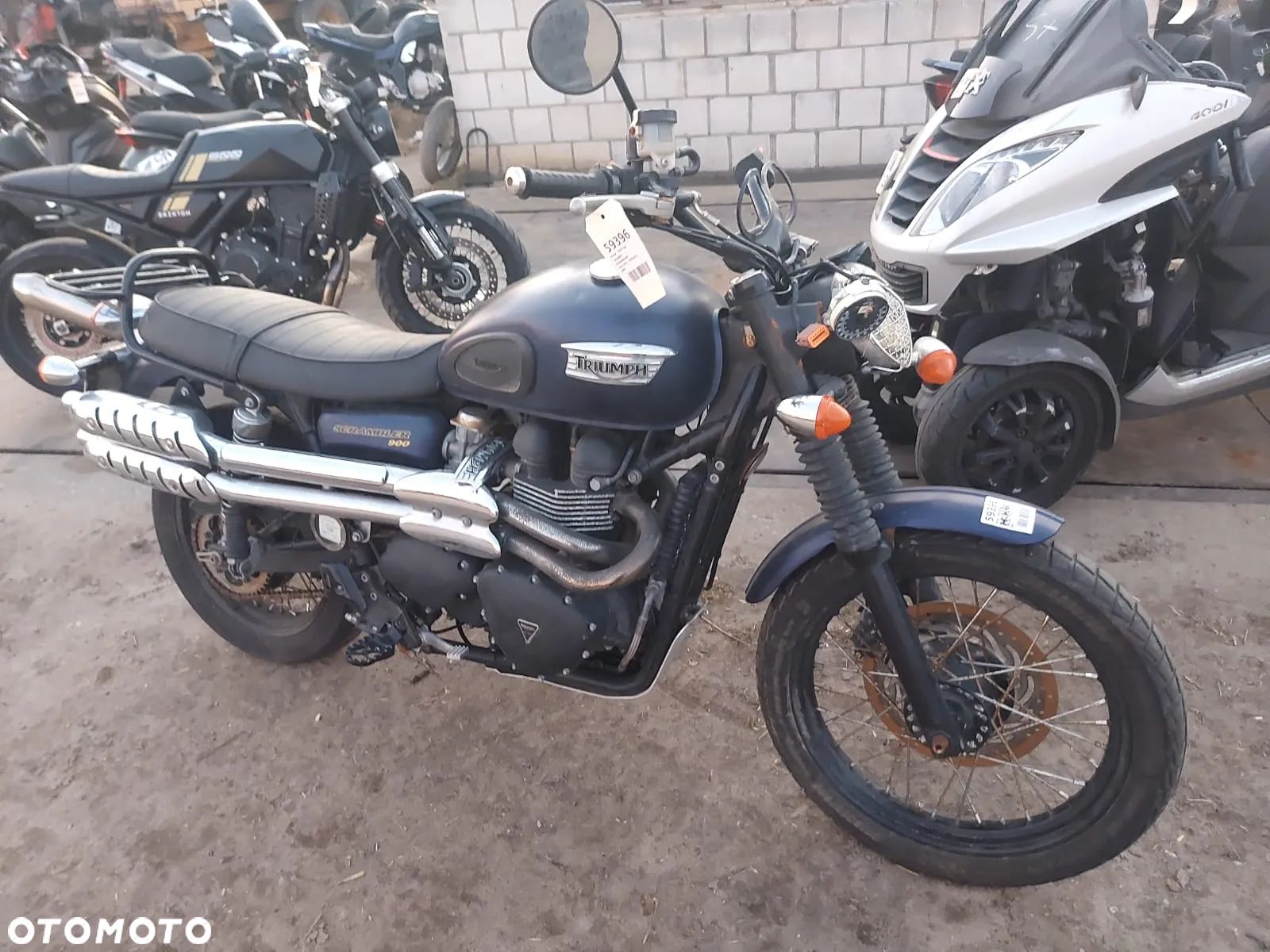Triumph Scrambler - 1