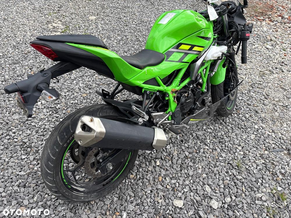 Kawasaki Ninja - 10