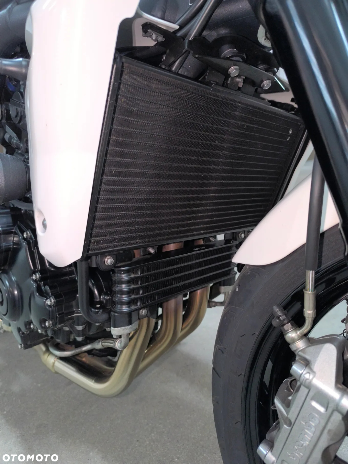 Triumph Speed Triple - 24