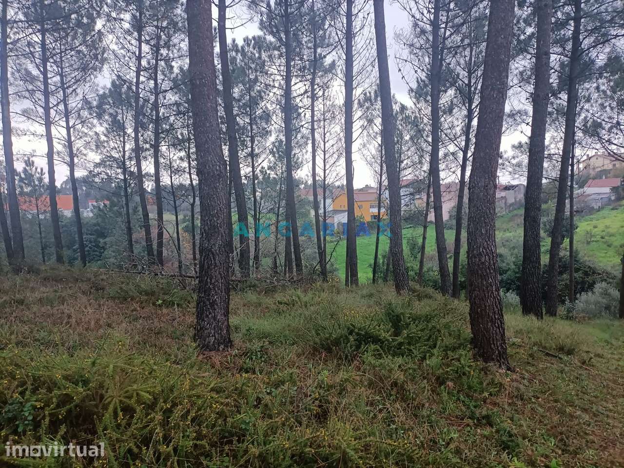 ANG1577 - Terreno para Venda em Chainça, Leiria - Grande imagem: 3/10