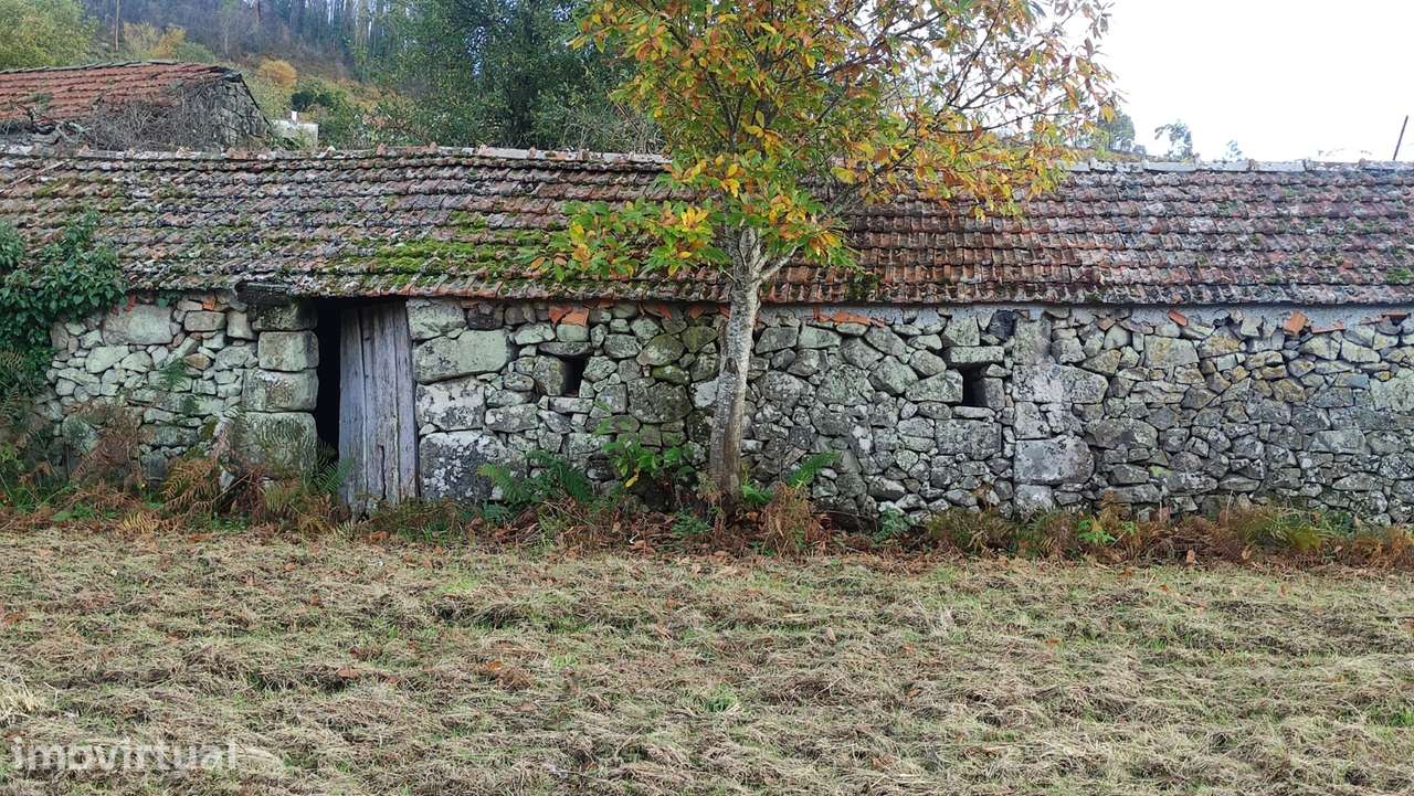 Terreno  Venda em Campelo e Ovil,Baião - Grande imagem: 3/21