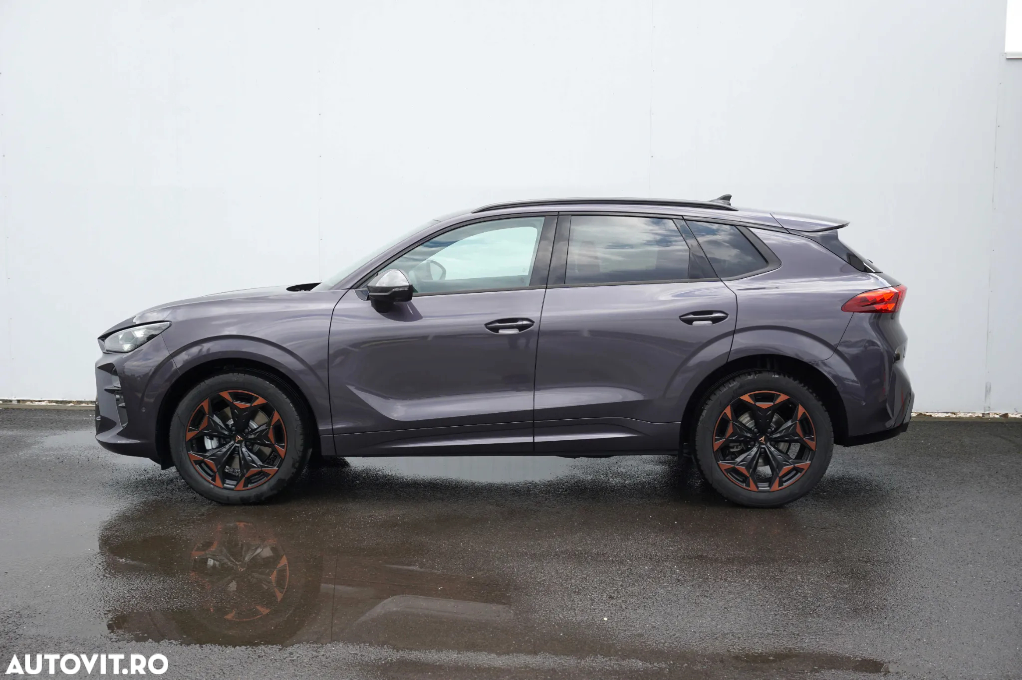 Cupra Terramar - 2