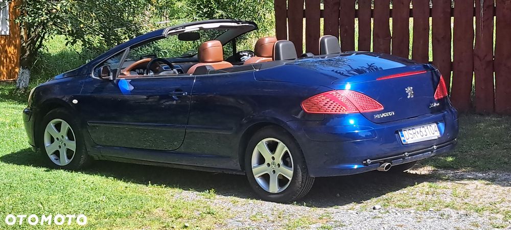Peugeot 307 CC - 3