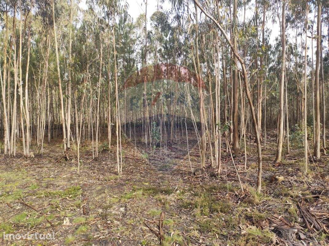 Terreno  para venda - Grande imagem: 4/7