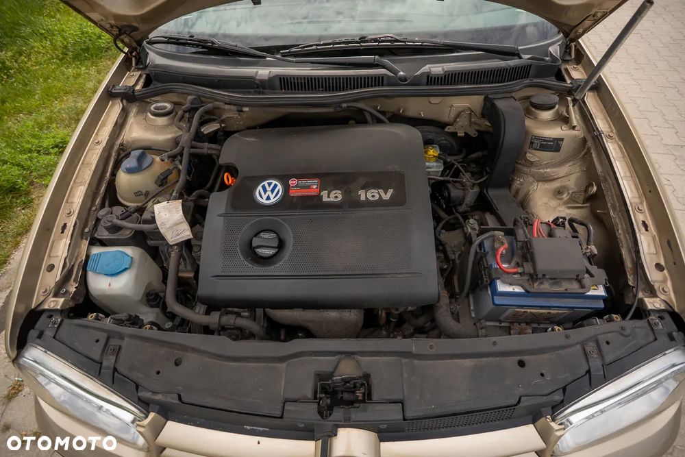 Volkswagen Golf - 28