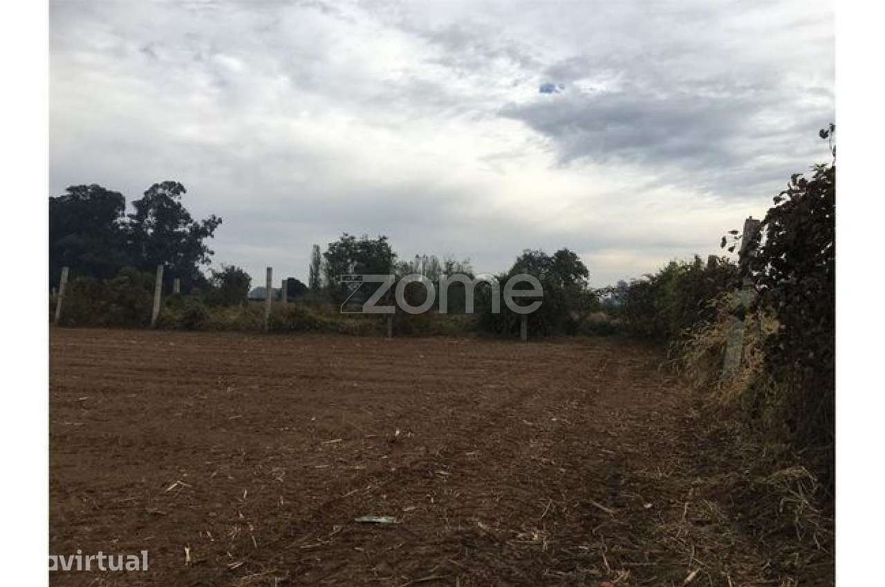 Terreno para Cultivo - Grande imagem: 4/5
