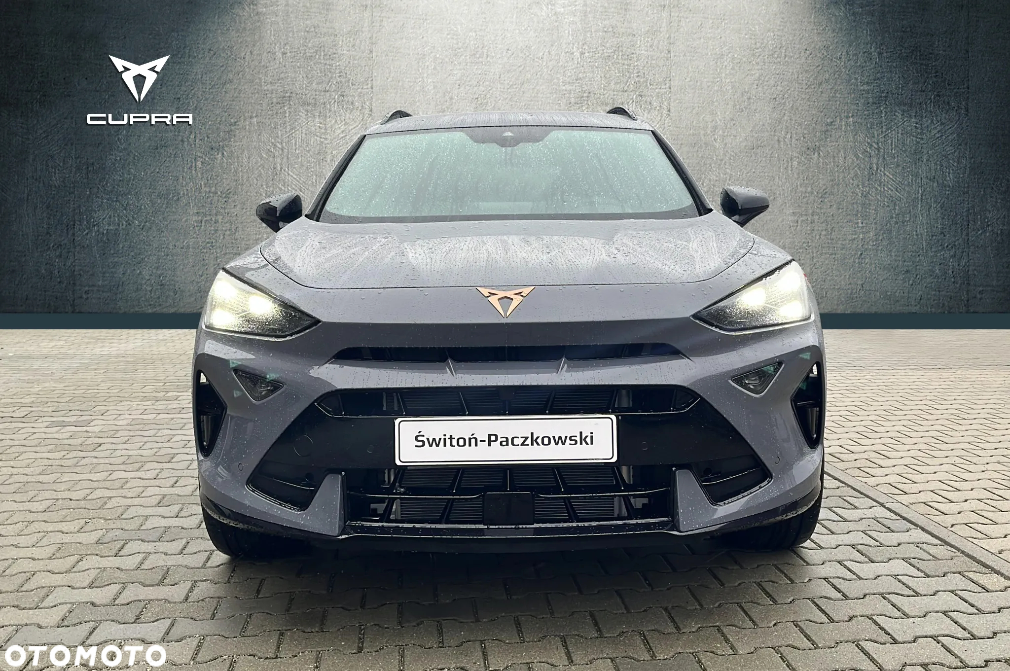 Cupra Formentor 2.0 TSI 4Drive DSG - 8