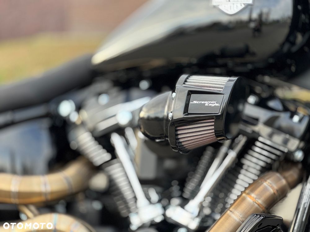 Harley-Davidson Softail Heritage Classic - 8