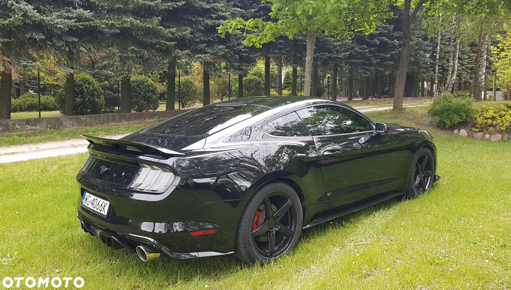 Ford Mustang 3.7 V6 - 8