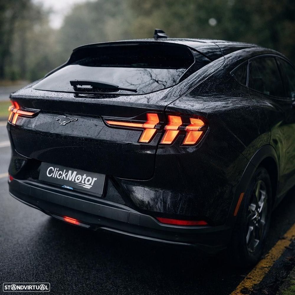 Ford Mustang Mach-E Standard - 29