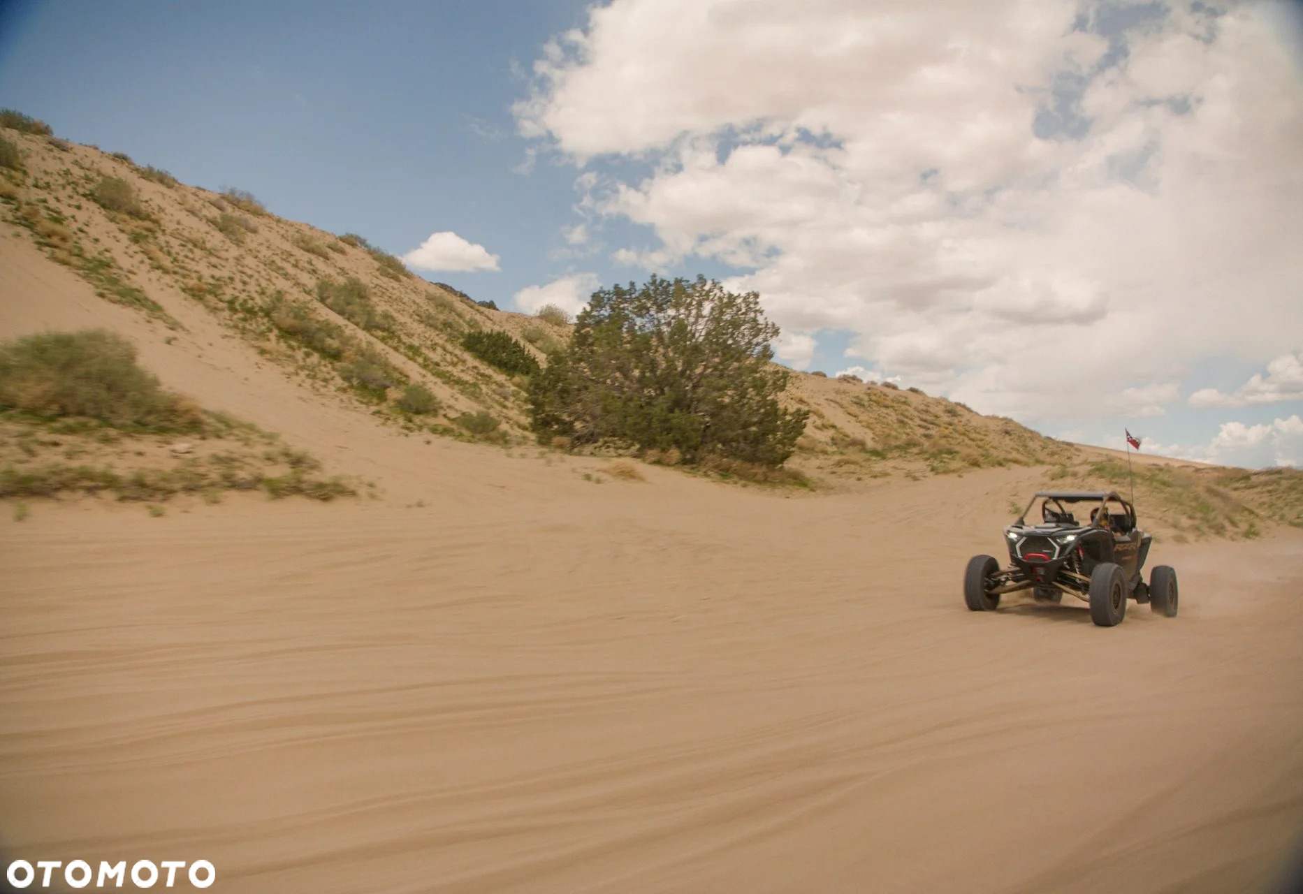 Polaris RZR - 7