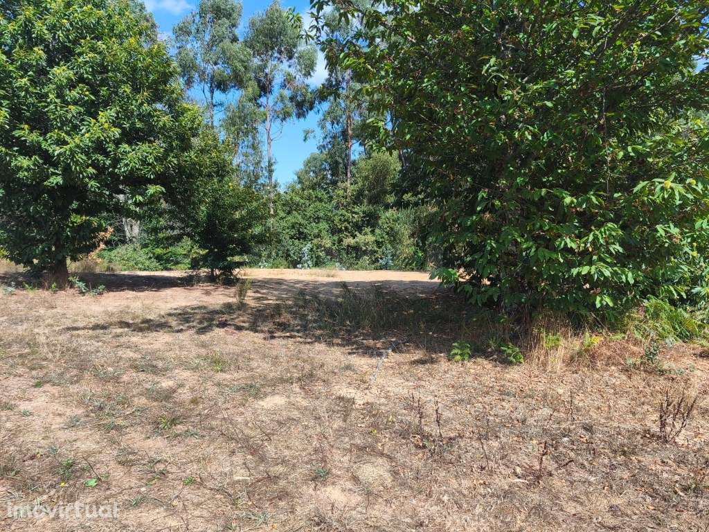 Prédio rústico em zona de construção, vedado com muro de granito - Grande imagem: 5/12