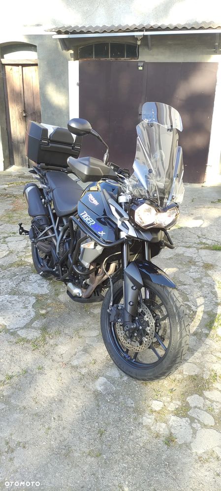 Triumph Tiger - 8