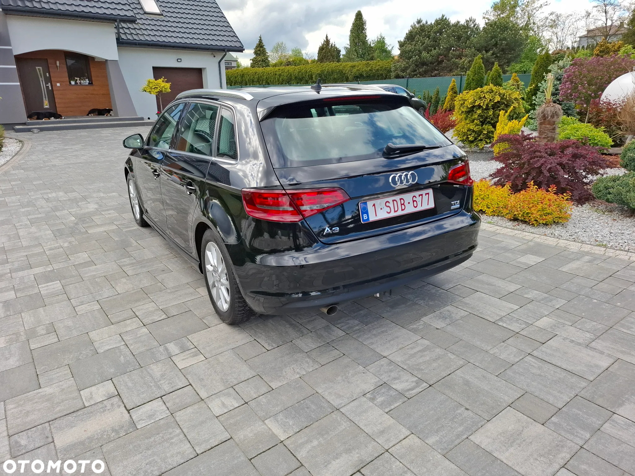 Audi A3 1.6 TDI Sportback design - 9