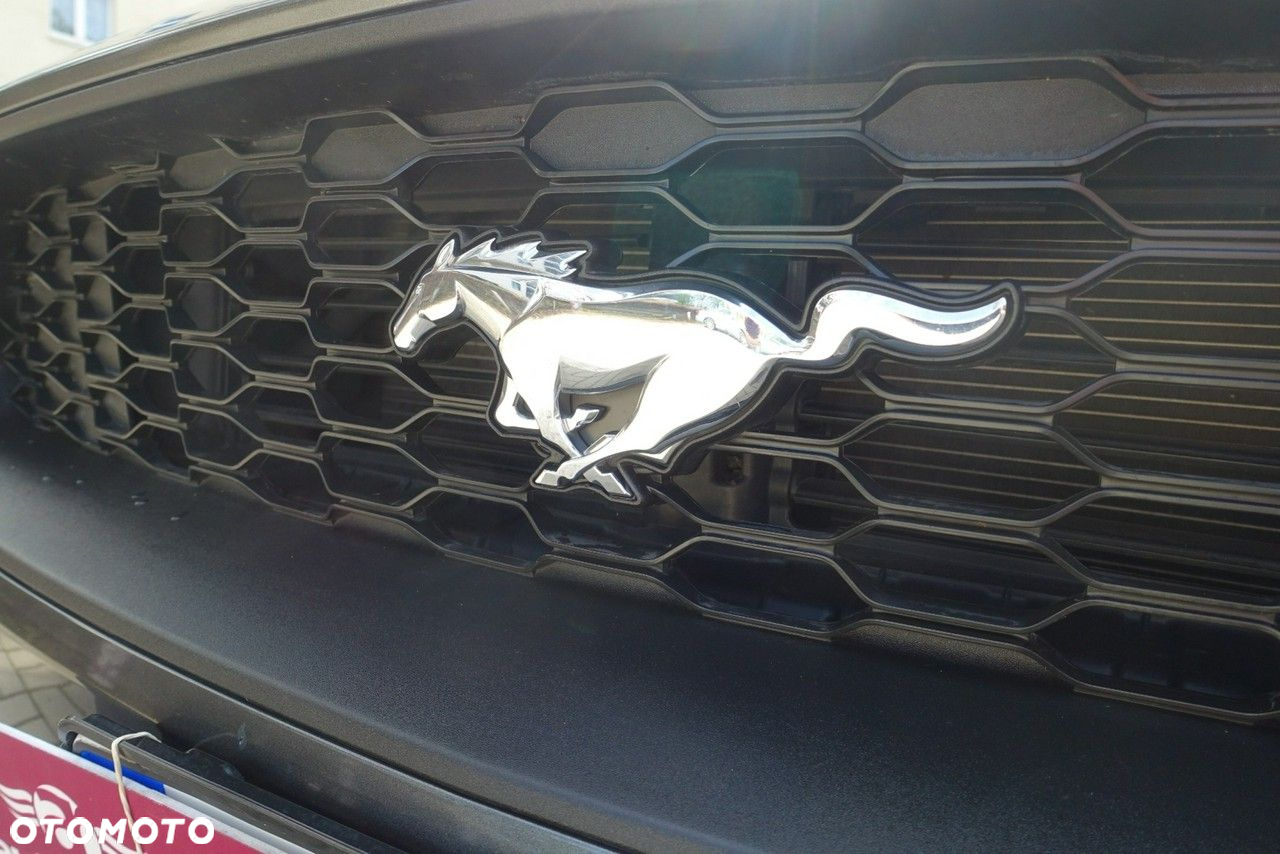Ford Mustang - 16