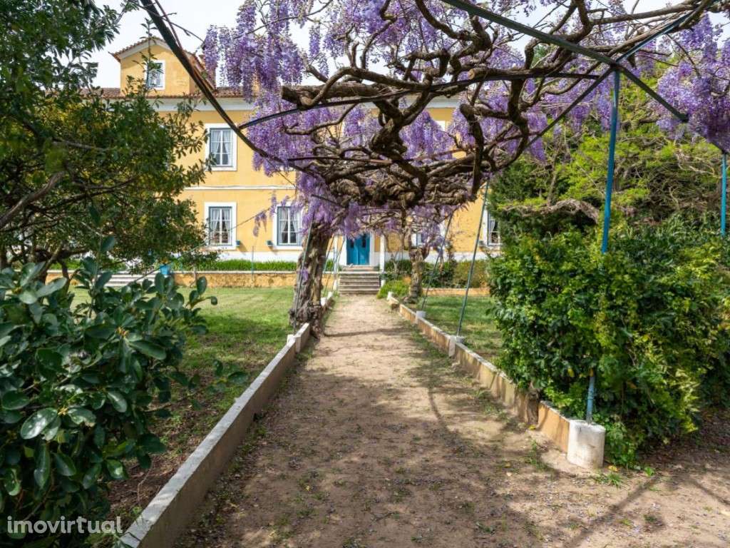 Quinta do Campo, 6 ha em Valado de Frades, Nazaré - Grande imagem: 3/60