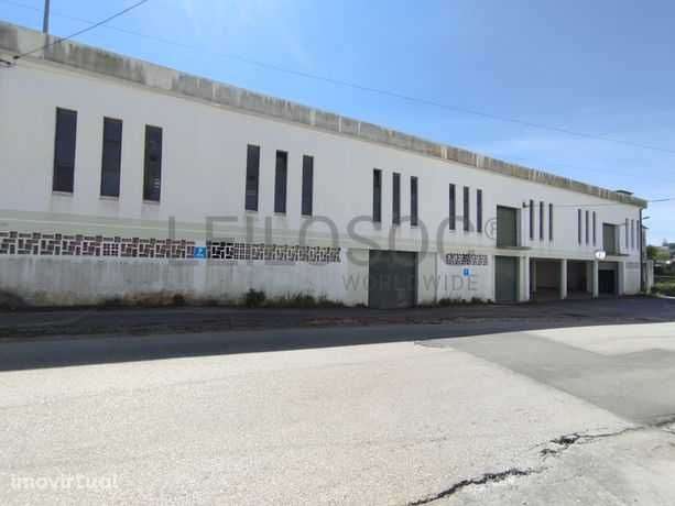 Armazem para Alugar//   Arrendar  em Alcanena  junto à A1 - Grande imagem: 3/12