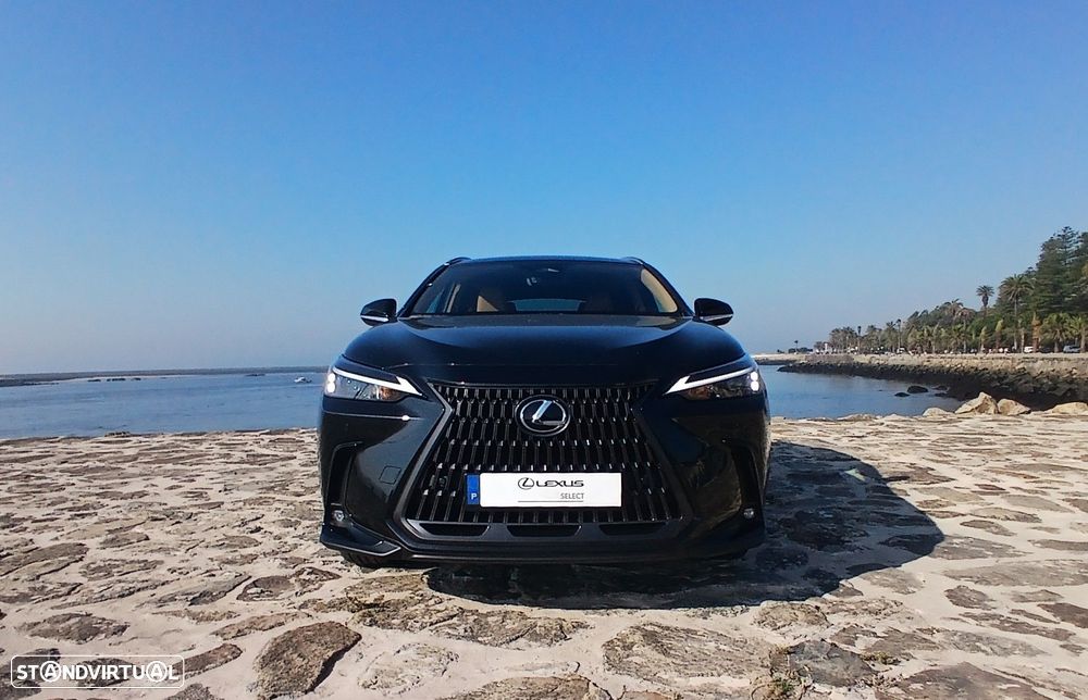 Lexus NX 450h+ - 14