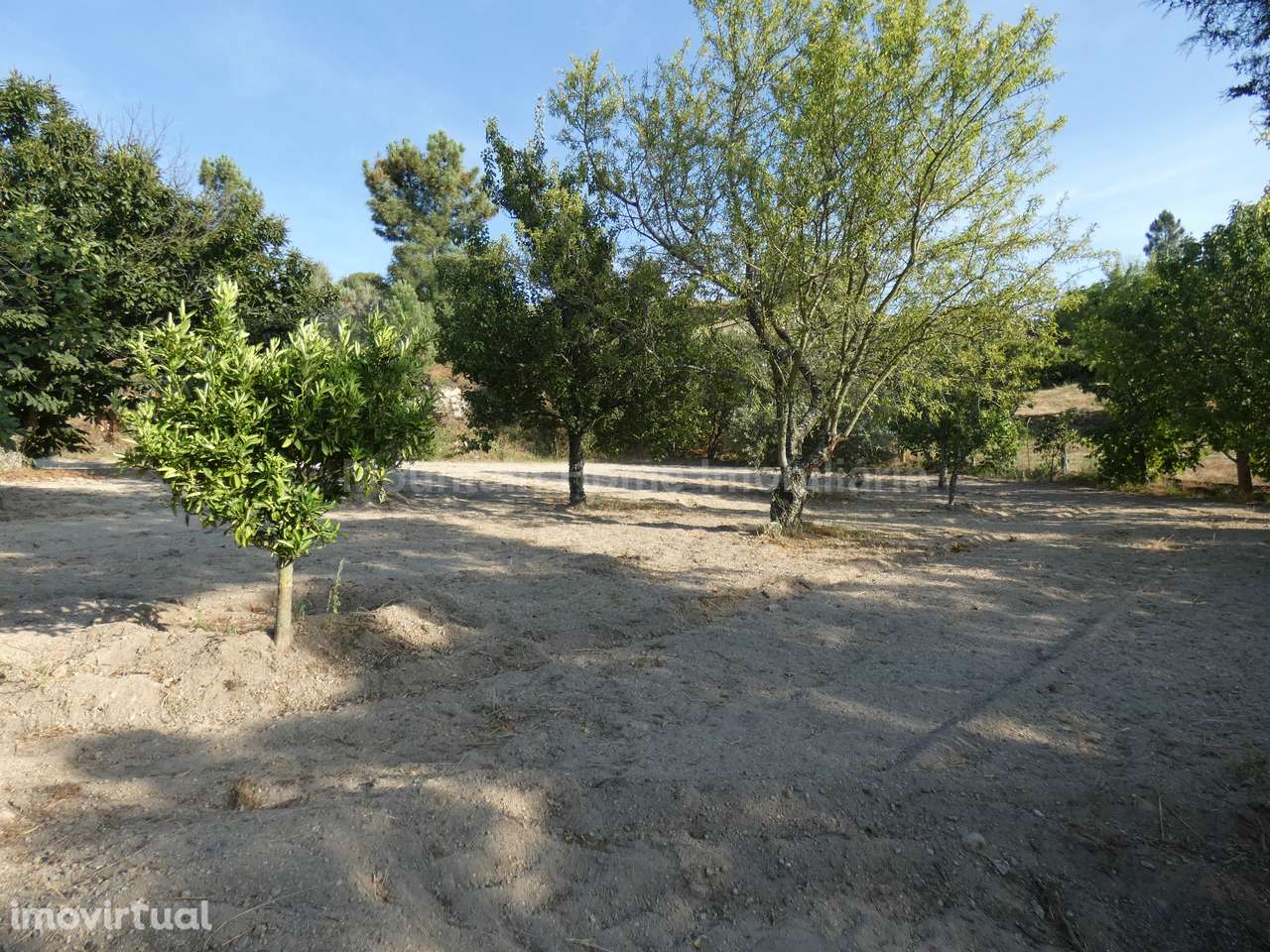 Moradia T3 Venda em Linhares,Celorico da Beira - Grande imagem: 3/16