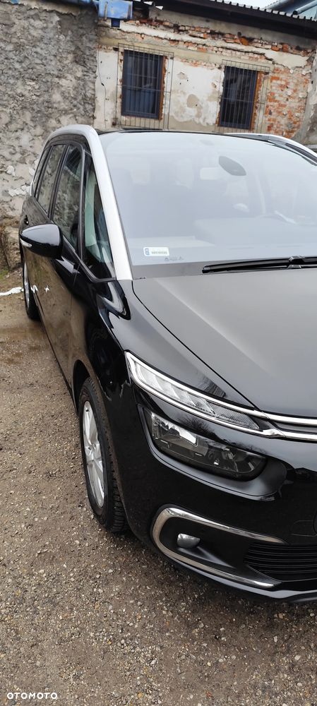 Citroën C4 Grand Picasso 1.6 BlueHDi MoreLife - 2