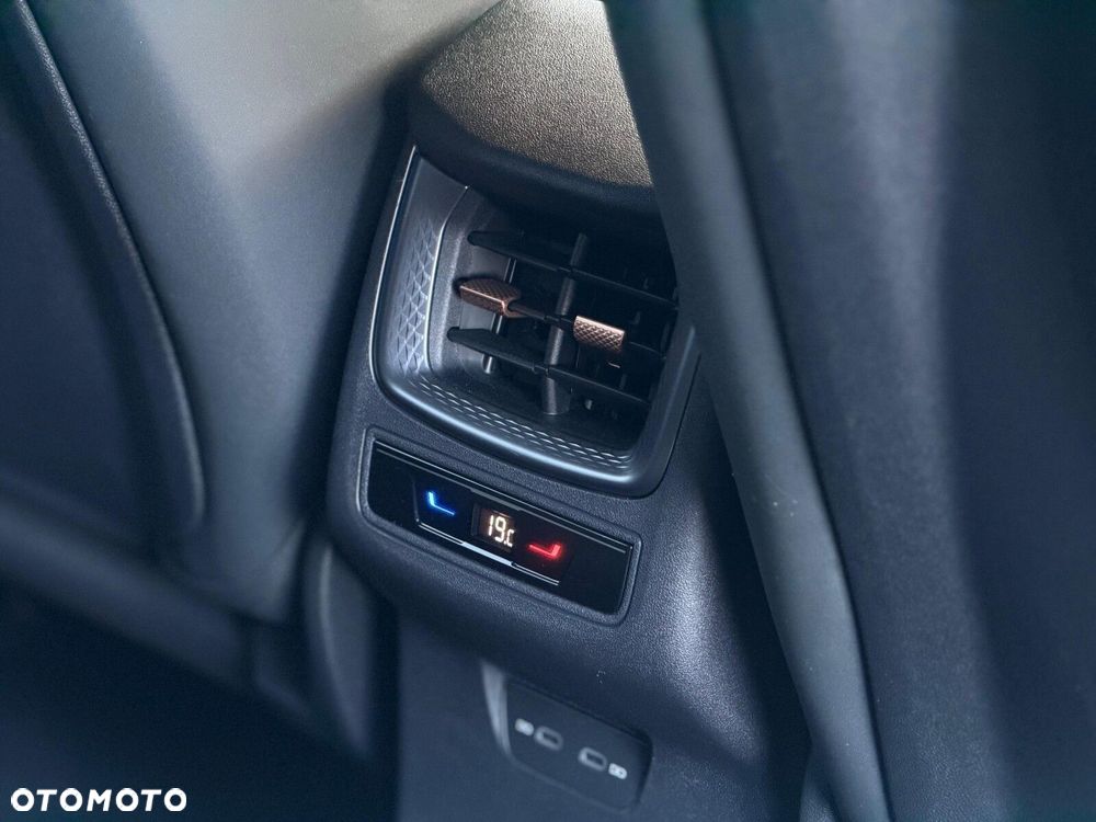 Cupra Terramar 2.0 TSI 4Drive DSG - 26