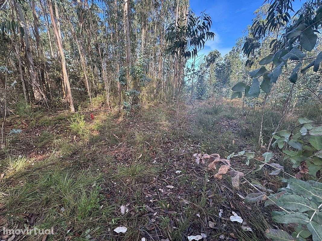 Terreno  para venda - Grande imagem: 2/4