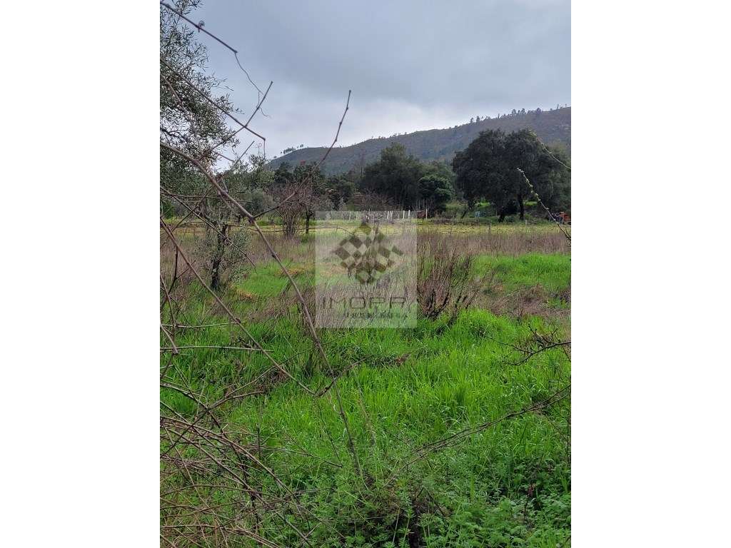 Terreno em aldeia próximo Vila Velha de Rodão - Grande imagem: 2/4