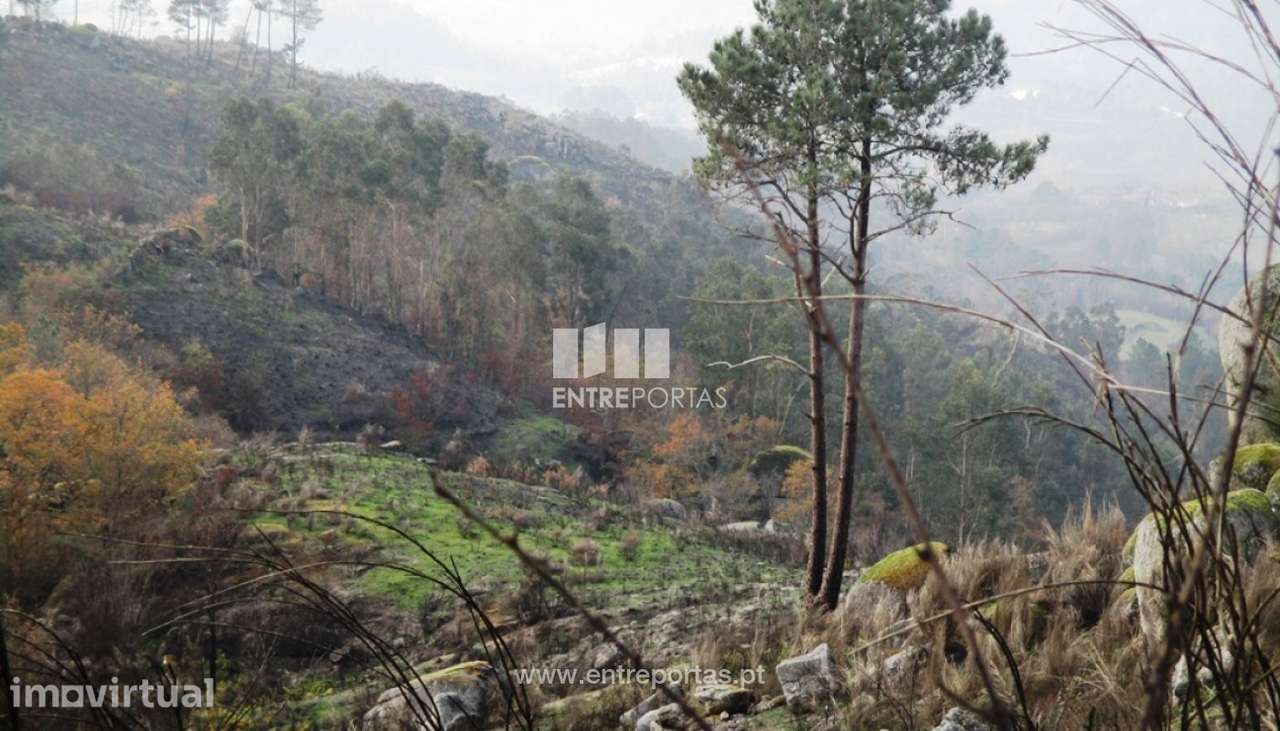 Venda Terreno, Folhada, Marco de Canaveses - Grande imagem: 2/9