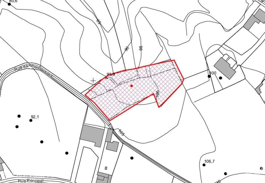 Terreno Agrícola em Souto da Carpalhosa e Ortigosa - Grande imagem: 3/10