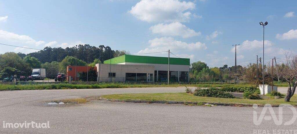 Loja / Estabelecimento Comercial T3 em Cantanhede e Pocariça de 828,00 - Grande imagem: 3/18