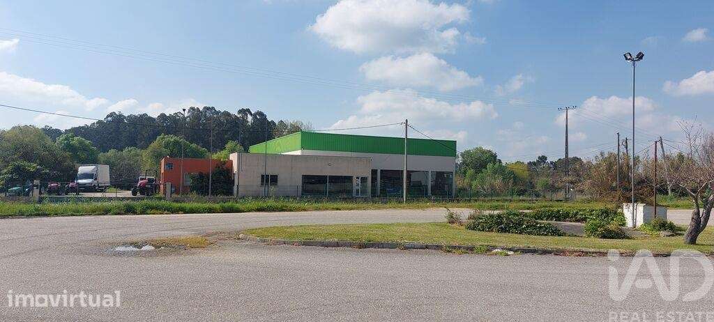 Loja / Estabelecimento Comercial T3 em Cantanhede e Pocariça de 828,00 - Grande imagem: 3/18