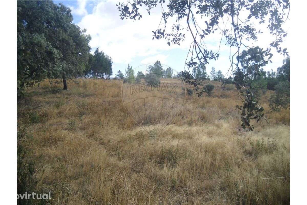 Quinta T0 para venda - Grande imagem: 3/9