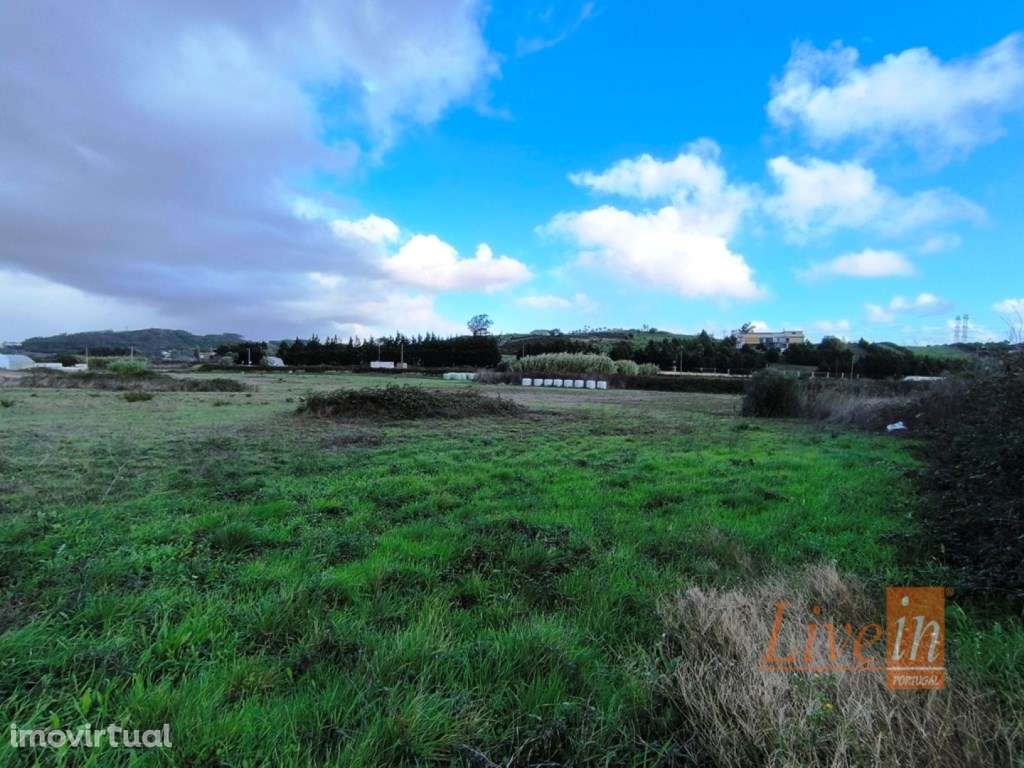 Terreno Rústico com 5 Ha com Ruína em Salemas, Lousa, Loures - Grande imagem: 2/16