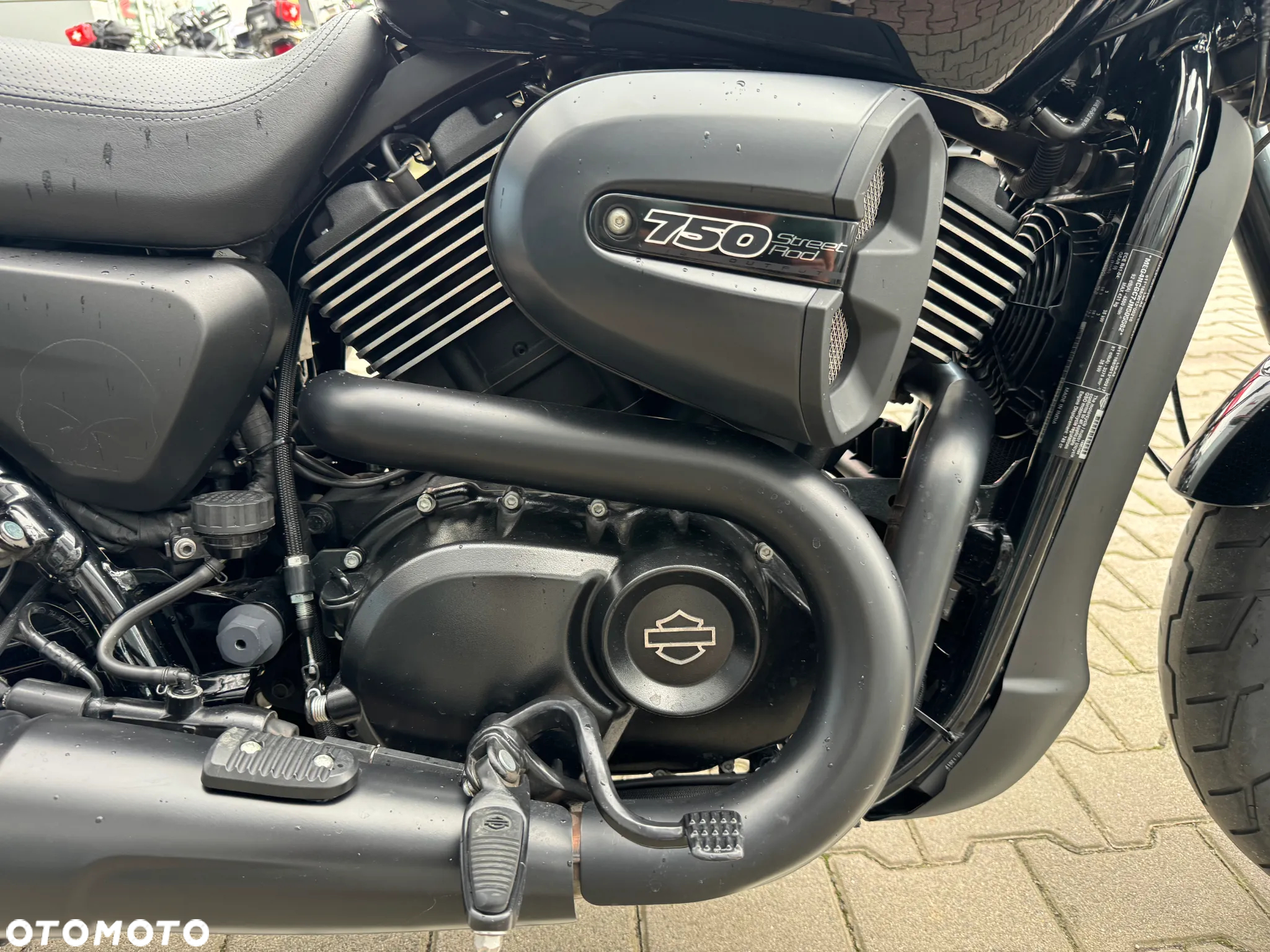 Harley-Davidson Street Rod XG 750A - 14