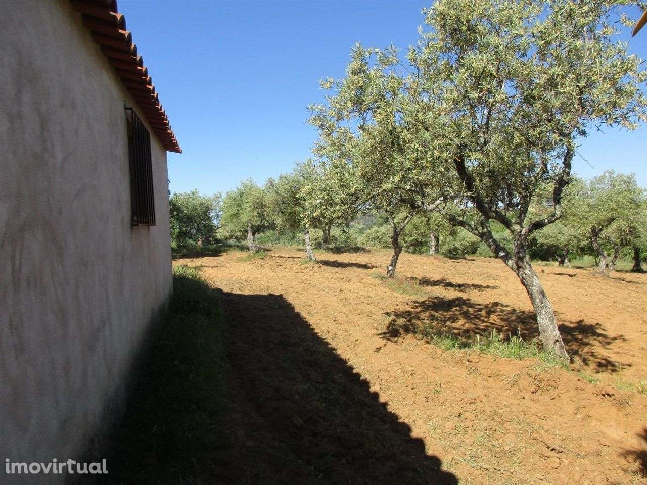 Quinta - Grande imagem: 4/10