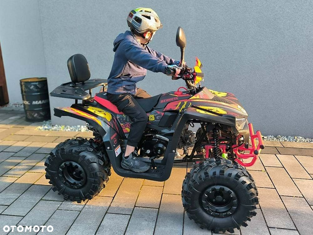 Berreta Bulldog - 14