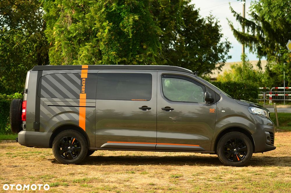 Peugeot Dangel Expert 4x4 - 10