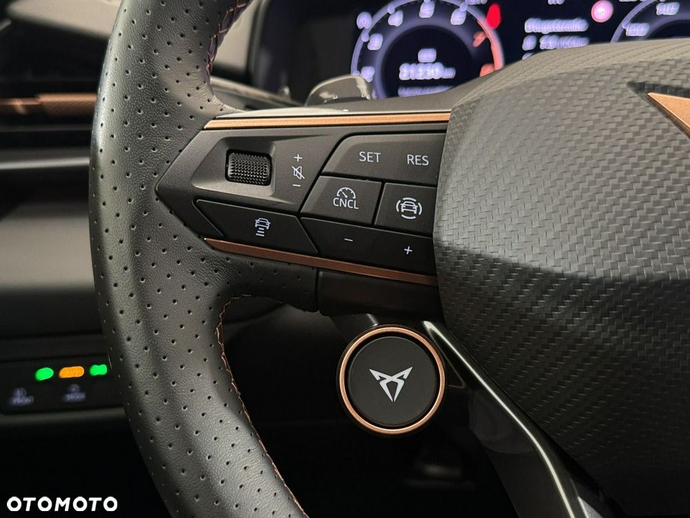 Cupra Terramar - 15