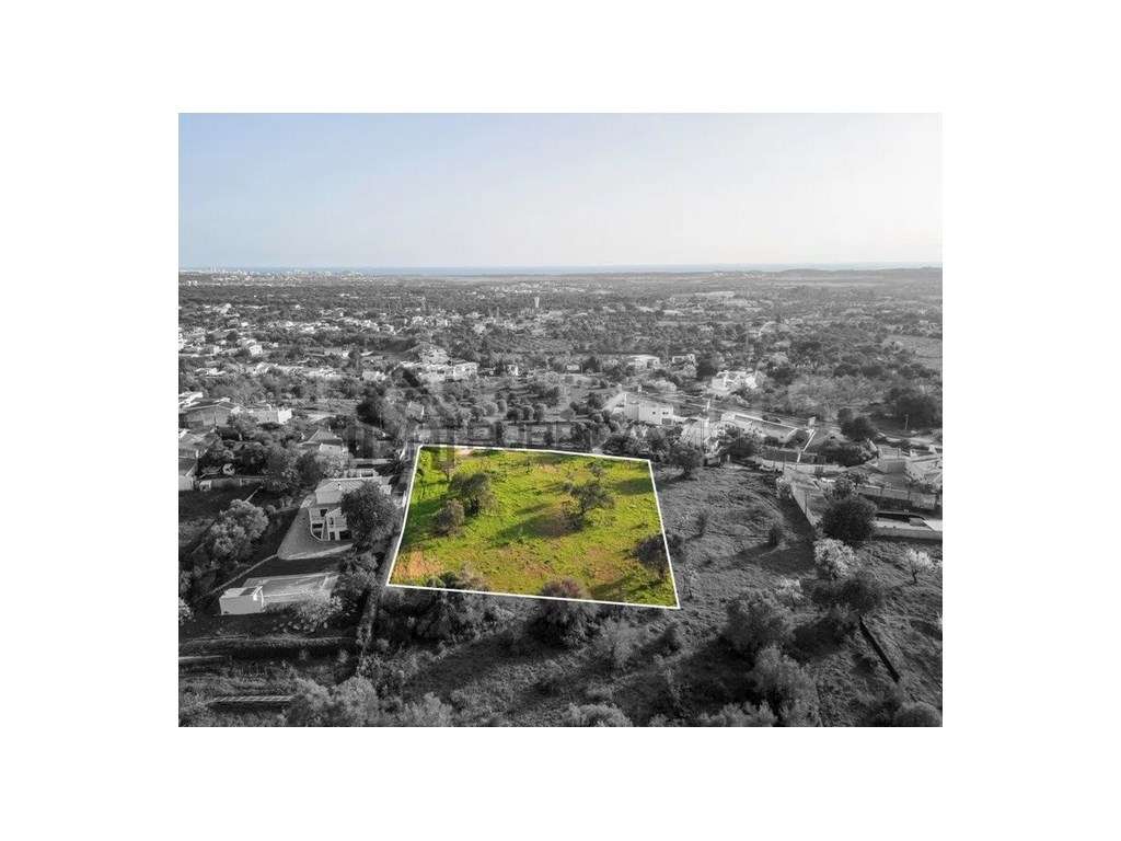 Terreno com PIP aprovado - Grande imagem: 2/3